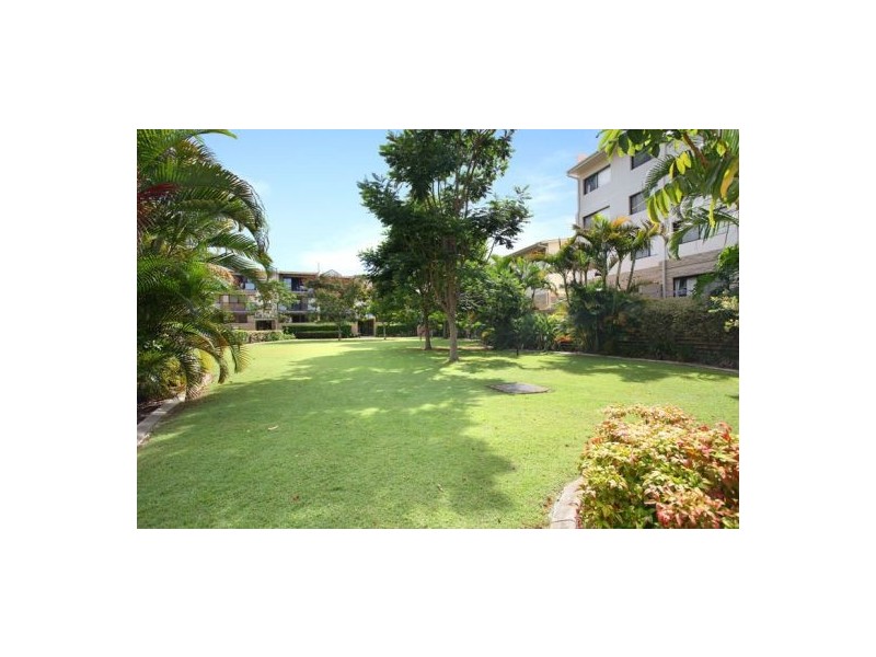 54/55 Harries Road, Coorparoo QLD 4151