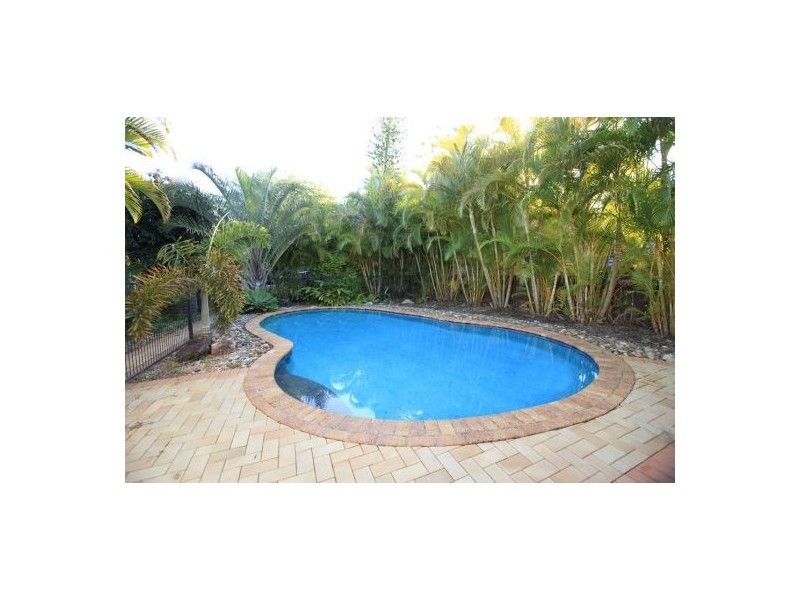 29   Conifer Street, Daisy Hill QLD 4127