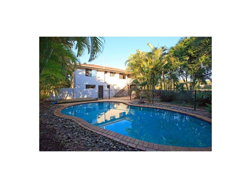 29   Conifer Street, Daisy Hill QLD 4127