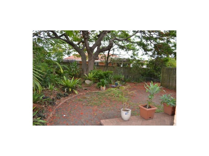 3/69 Shakespeare Street, Coorparoo QLD 4151