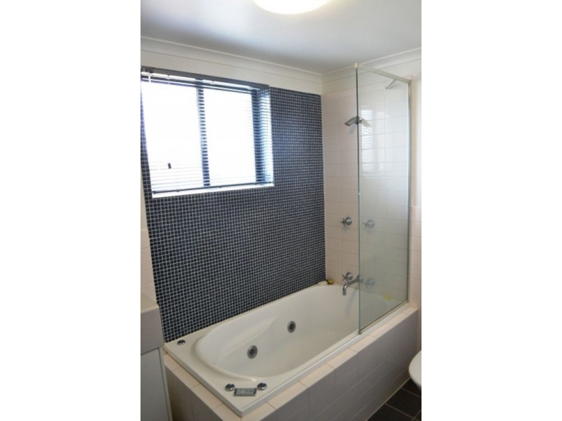 11/15 Kitchener Street, Coorparoo QLD 4151