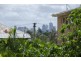 31 Yuletide St, Holland Park West QLD 4121