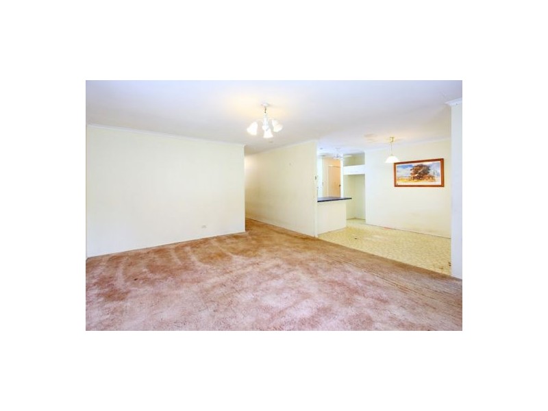 98 Carrara Street, Mount Gravatt East QLD 4122