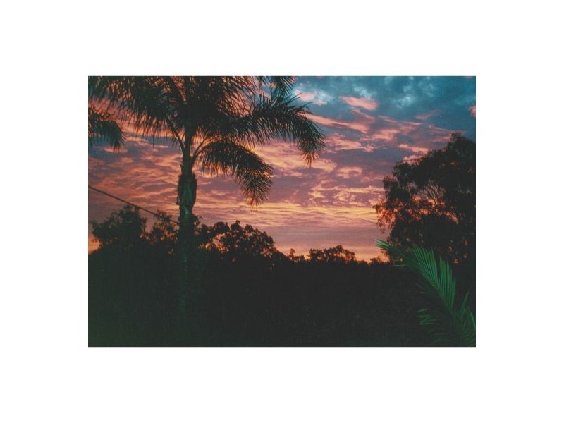 14 Carloch Street, Holland Park West QLD 4121