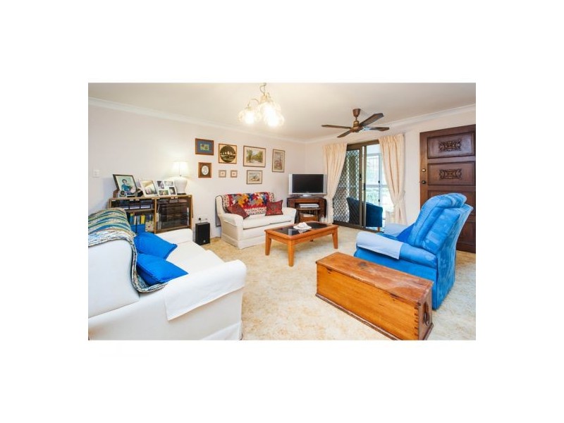 137 Sapphire Street, Holland Park QLD 4121