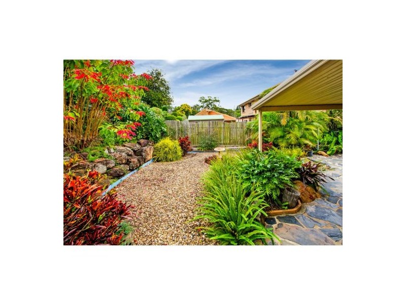 137 Sapphire Street, Holland Park QLD 4121