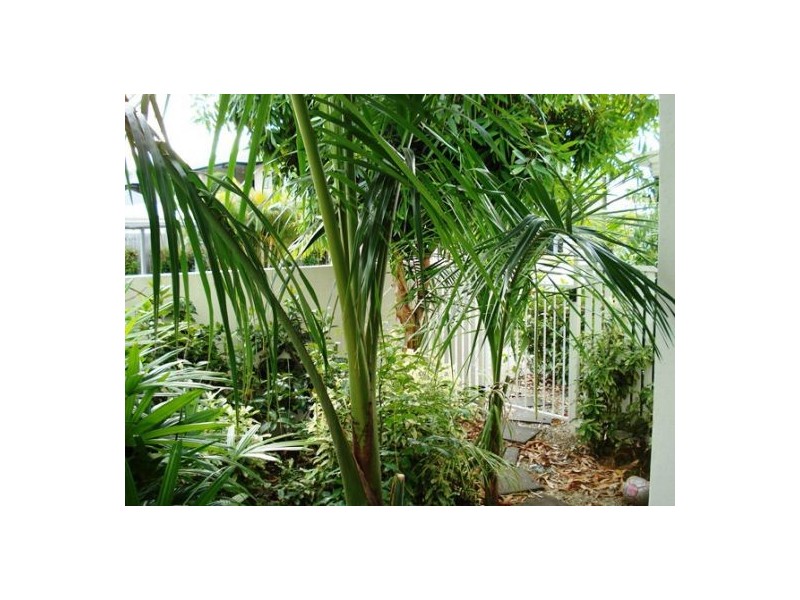 20 108/118 Trinity Beach Rd., Trinity Beach QLD 4879