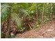 285 MYOLA ROAD, Kuranda QLD 4881