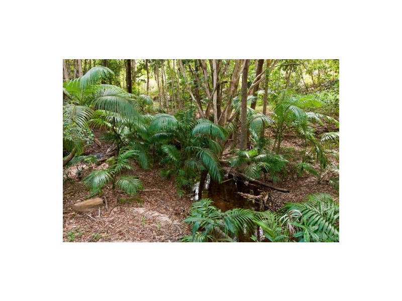 285 MYOLA ROAD, Kuranda QLD 4881