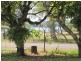 162 Tuan Esplanade, Tuan QLD 4650
