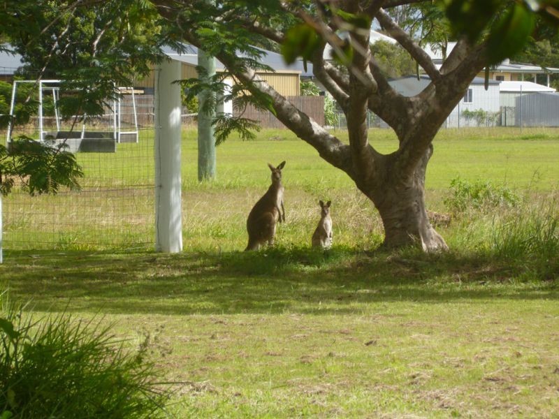 115 Steindl Street, Granville QLD 4650