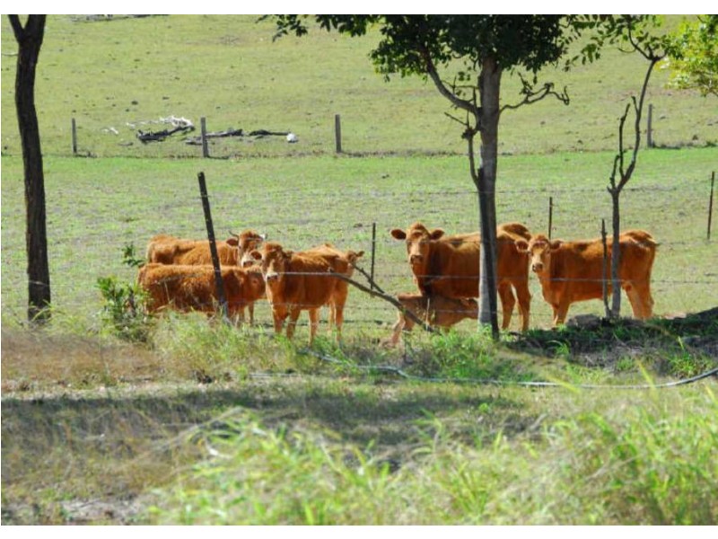 160 Perry Road, Magnolia QLD 4650