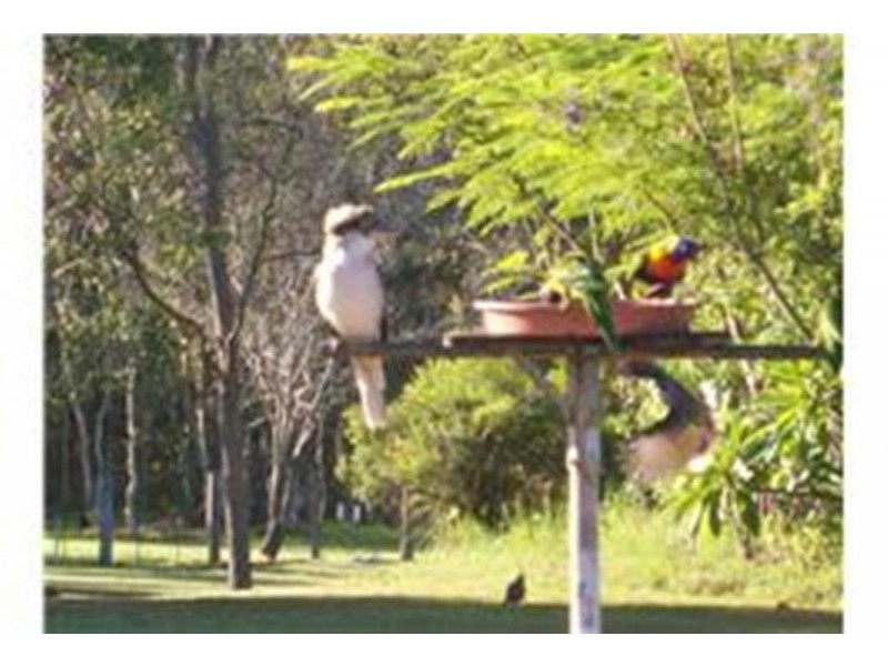 11 Oxford Street, Bidwill QLD 4650