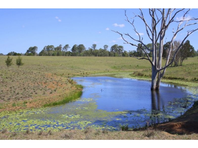 111 Findlay Road, Grahams Creek QLD 4650