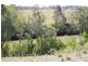 111 Findlay Road, Grahams Creek QLD 4650