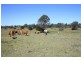 111 Findlay Road, Grahams Creek QLD 4650