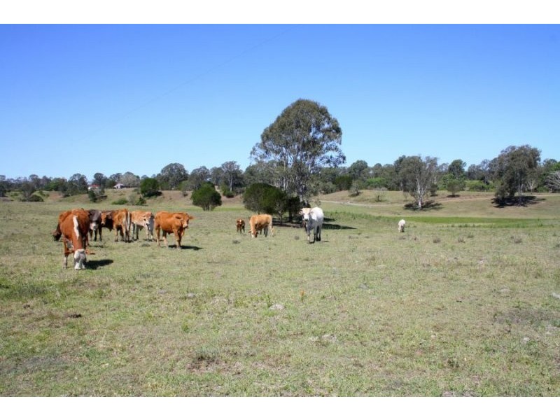 111 Findlay Road, Grahams Creek QLD 4650