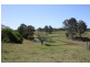 111 Findlay Road, Grahams Creek QLD 4650