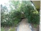 87 Tulipwood Drive, Tinana QLD 4650