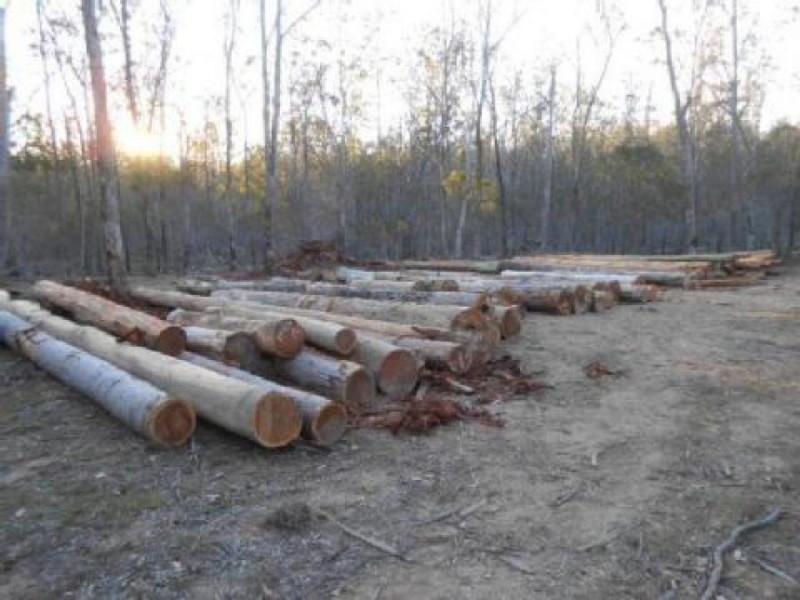 97 Glenbar Road, Woocoo QLD 4620