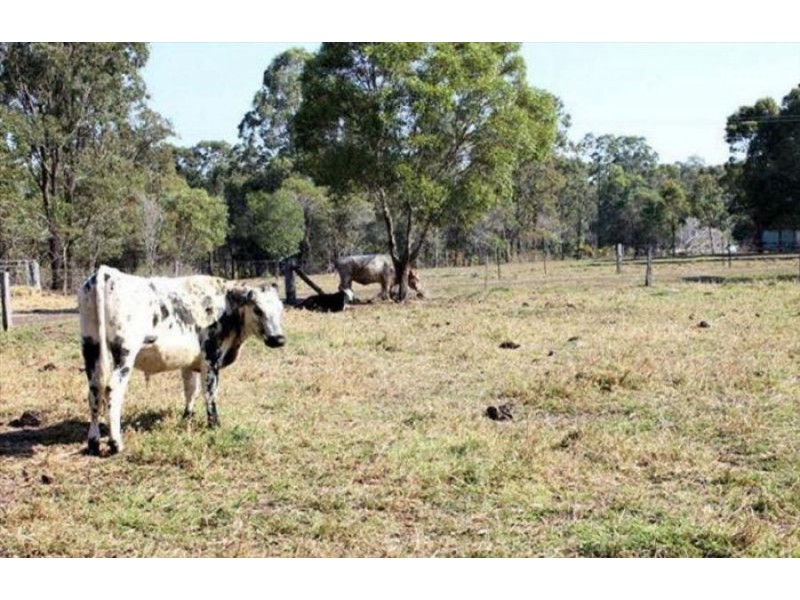 1221 Bidwill Road, Bidwill QLD 4650