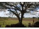 11 Crimmens Street, Maryborough QLD 4650