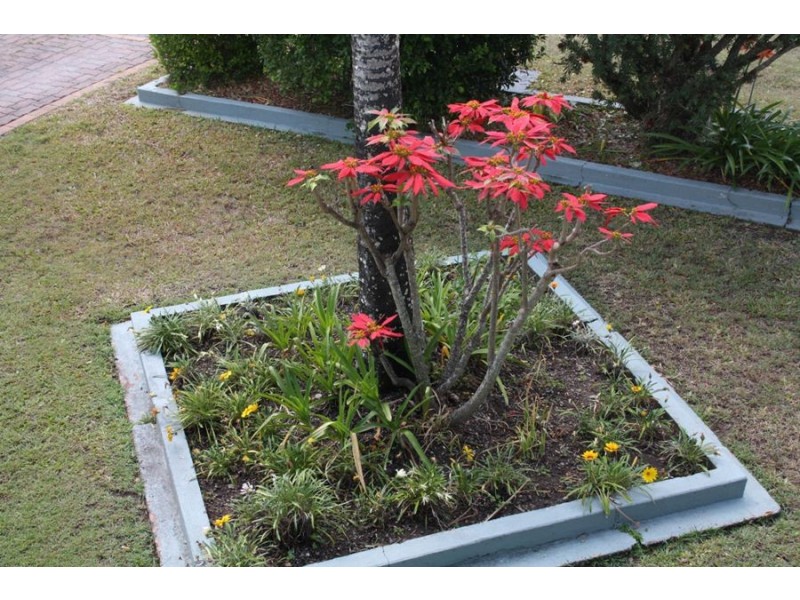 38 Smith Street, Maryborough QLD 4650