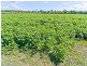 140 Noble Road, Susan River QLD 4655