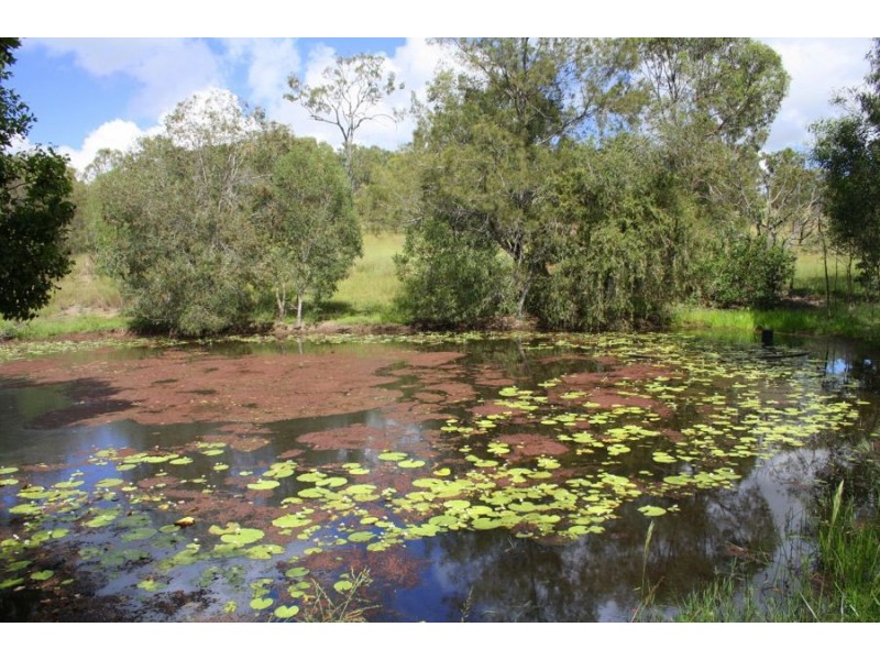 485 Mount Woowoonga Road, Woowoonga QLD 4621