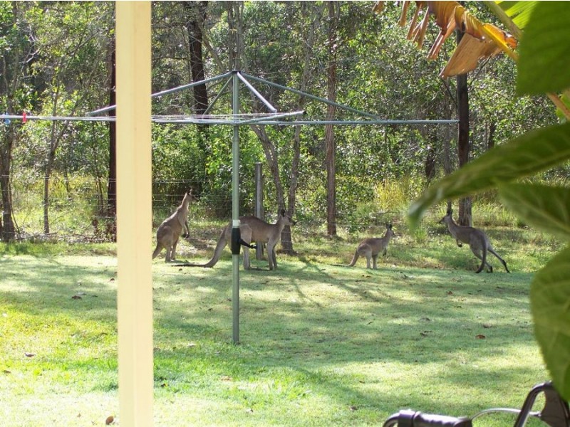 80 Pilerwa Road, Mungar QLD 4650