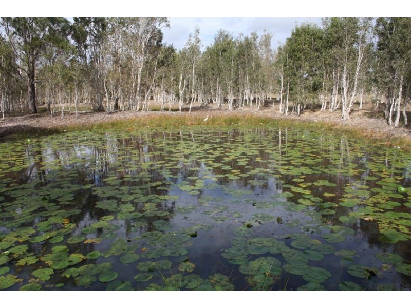 114 Rowley Road, Booral QLD 4655