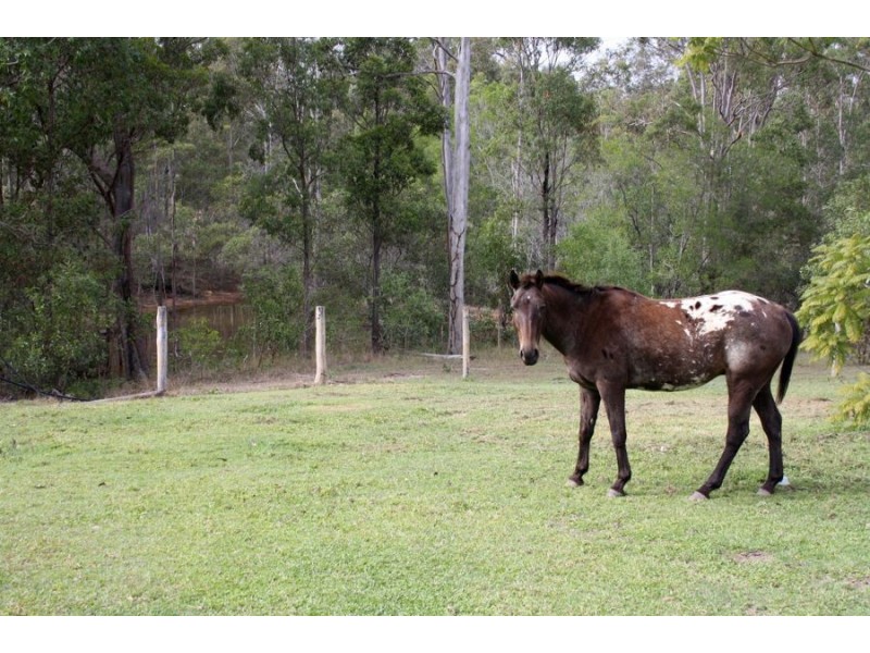 13 Staiers Road, Mungar QLD 4650