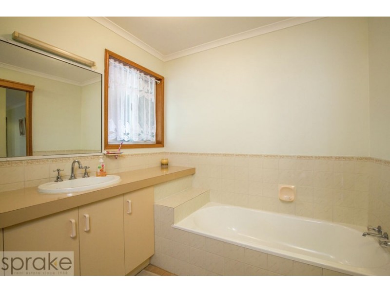 204 Dayman Street, Torquay QLD 4655