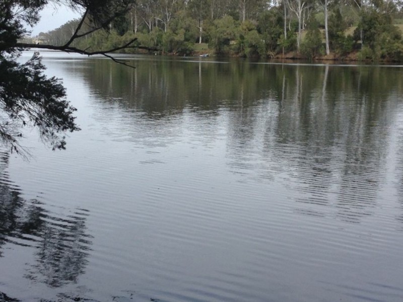 Lot 105 Linneus Street, Owanyilla QLD 4650