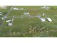 Lot 5 Carne Court – BIDWILL HEIGHTS ESTATE, Maryborough QLD 4650