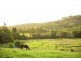 52 Maryborough Biggenden Road, Thinoomba QLD 4650