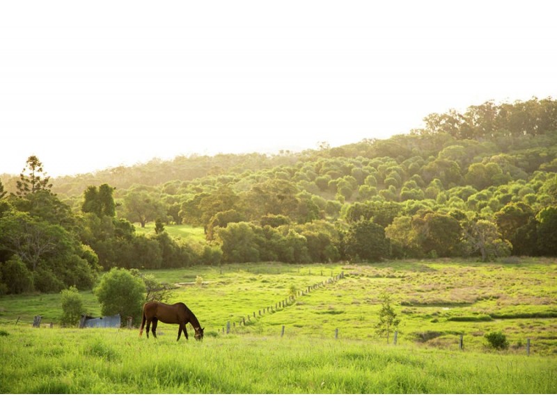 52 Maryborough Biggenden Road, Thinoomba QLD 4650