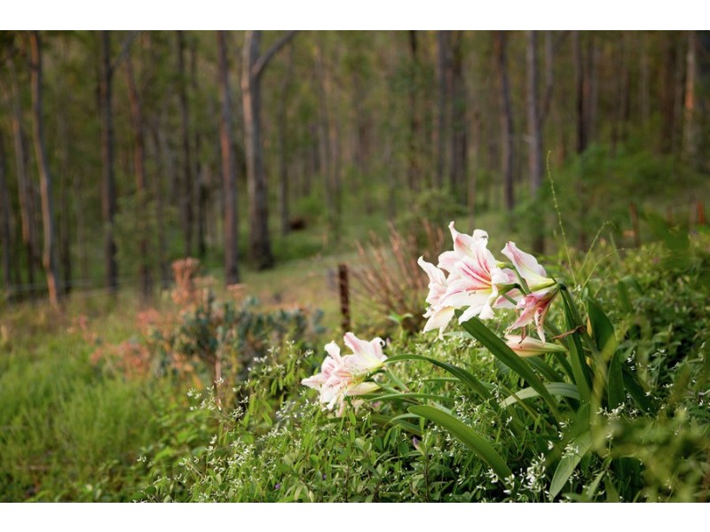 52 Maryborough Biggenden Road, Thinoomba QLD 4650