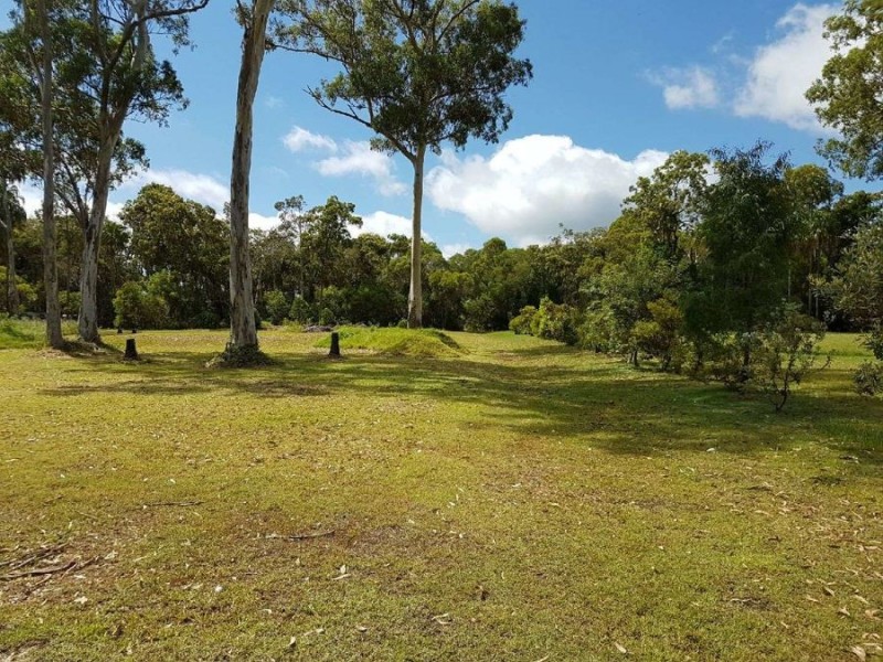 Lot 499 Livistonia Drive, Poona QLD 4650