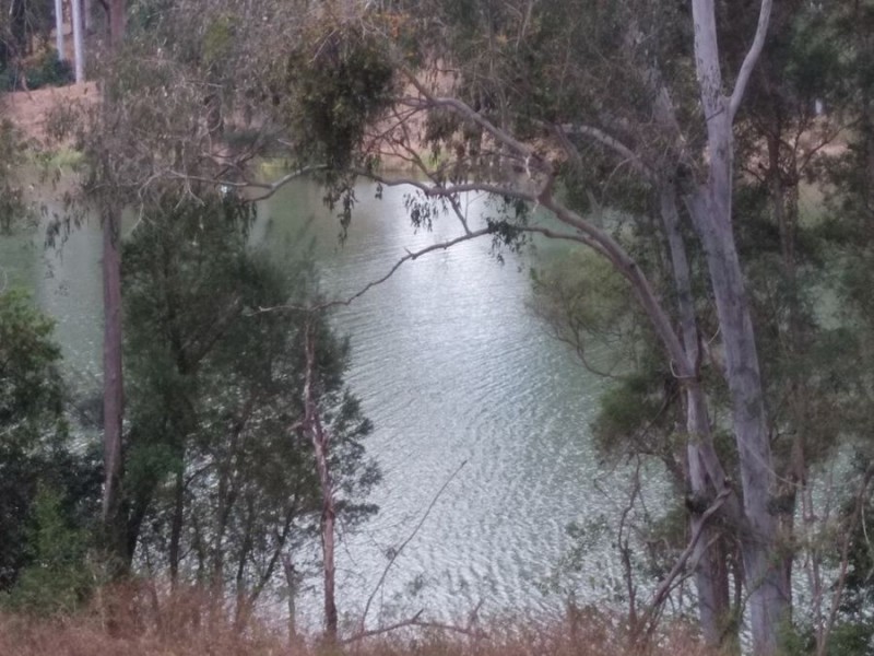 440 Antigua Road, Antigua QLD 4650