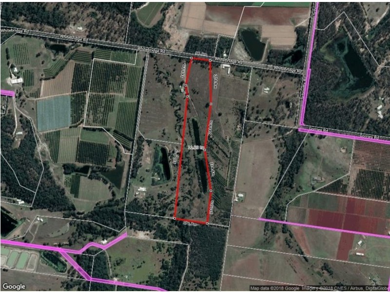 98 Whitebridge Road, North Isis QLD 4660