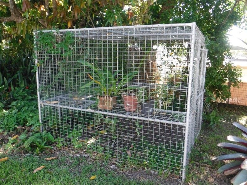 24 Grosvenor Street, Maryborough QLD 4650