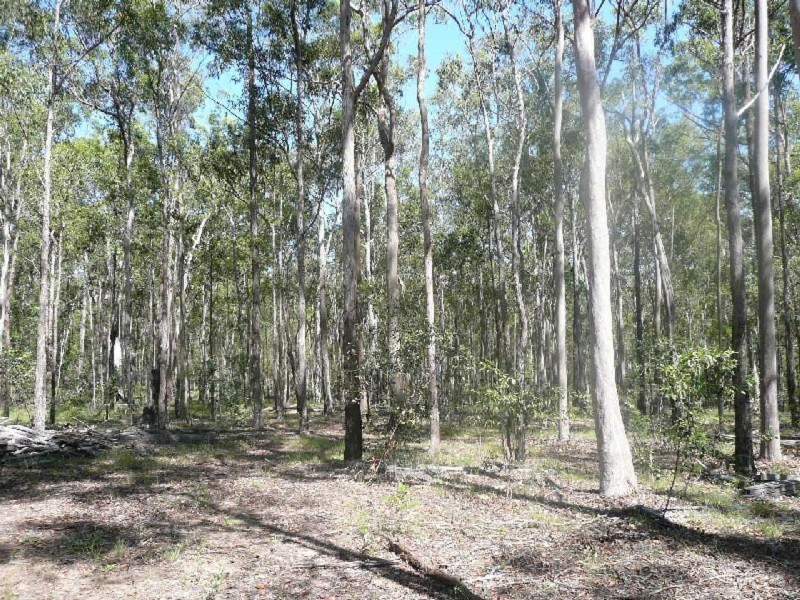 154 Avin Road, Magnolia QLD 4650