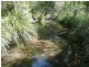 154 Avin Road, Magnolia QLD 4650