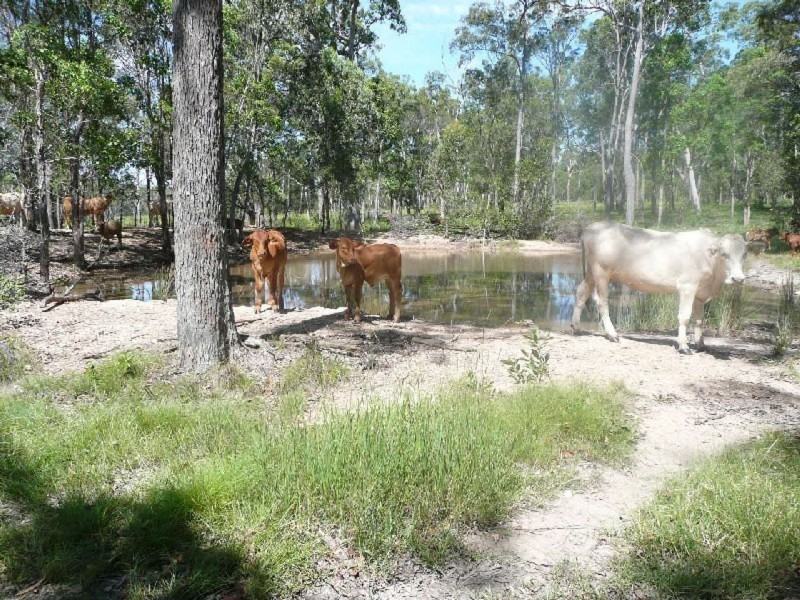154 Avin Road, Magnolia QLD 4650