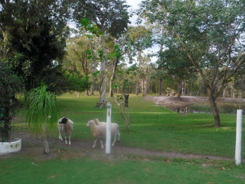 37 Carnaby Street, Bidwill QLD 4650