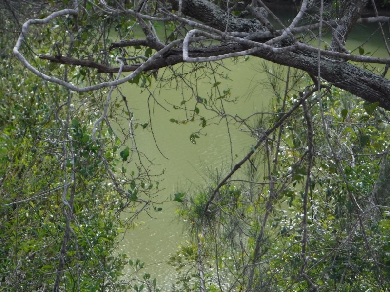 38-86 Keen Road, Pacific Haven QLD 4659