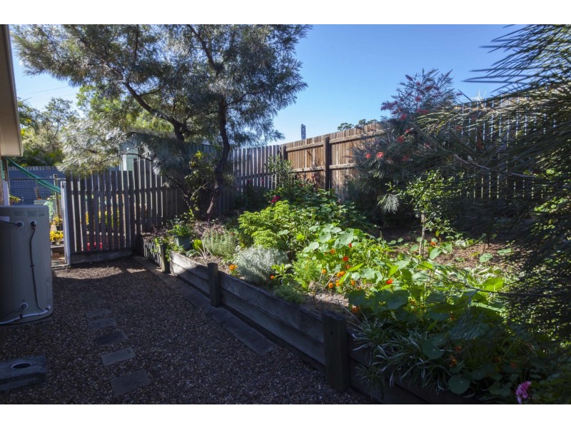 44 Teddington Road, Tinana QLD 4650