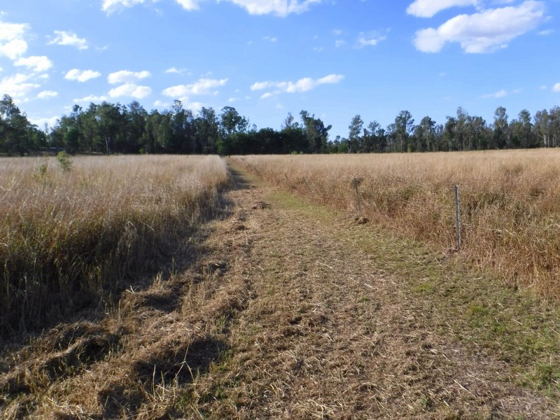 111 Ward Road, Yengarie QLD 4650