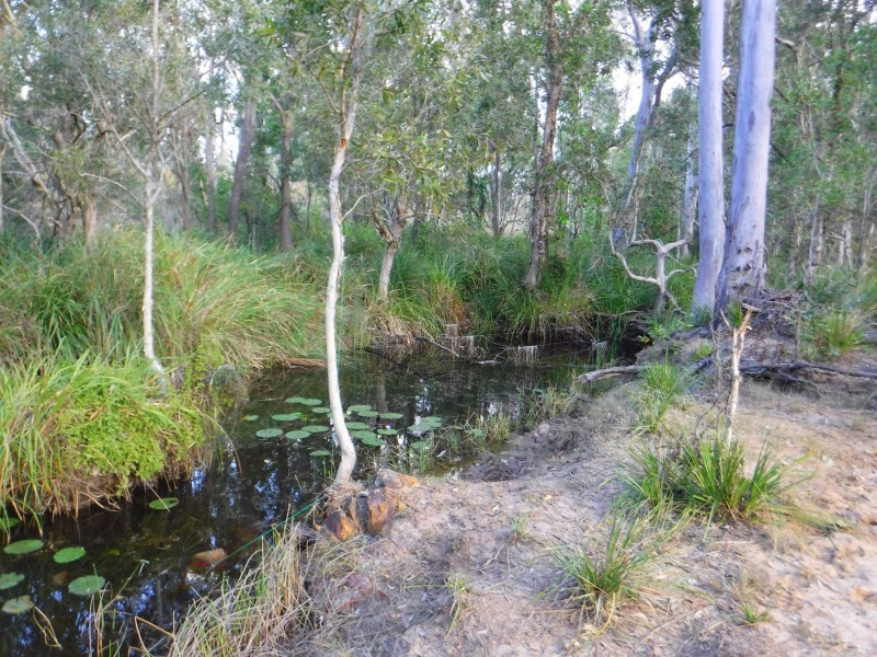 111 Ward Road, Yengarie QLD 4650